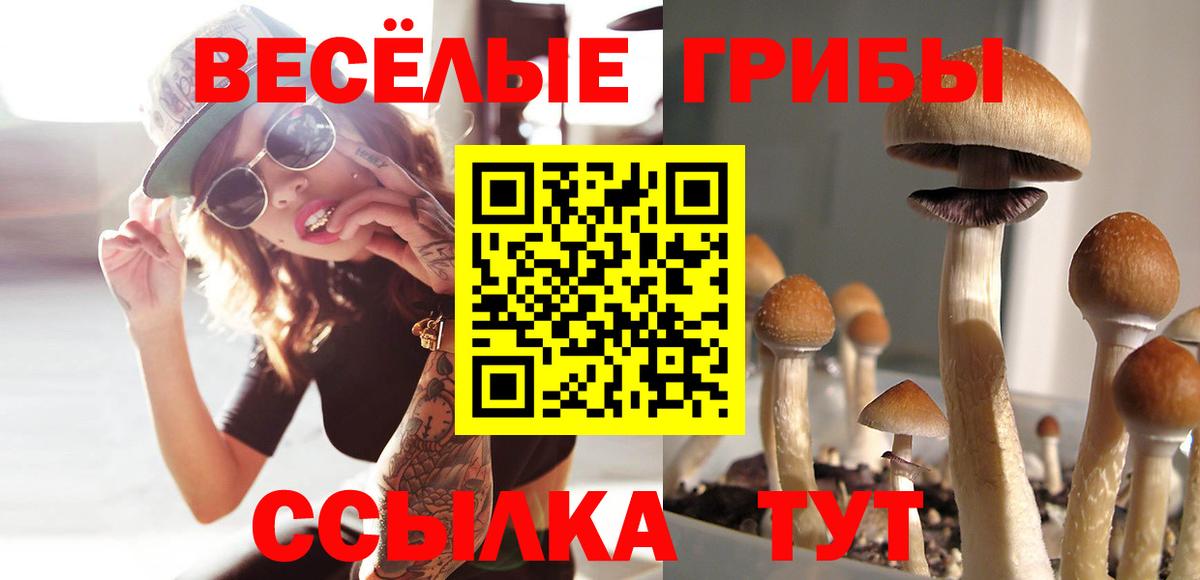 Галлюциногенные грибы прущие грибы  Галлюциногенные грибы GOLDEN TEACHER  Рузаевка  Вход с VPN 